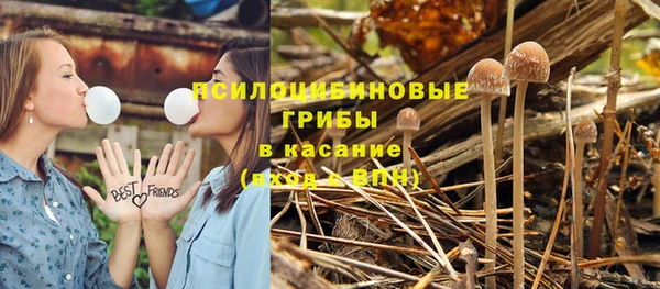 амф Заволжье