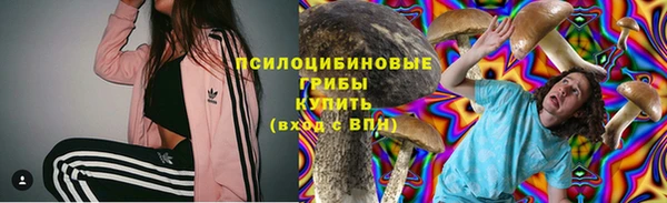 марихуана Заводоуковск