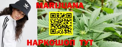 сатива Кохма