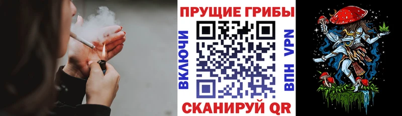 Галлюциногенные грибы Cubensis  наркота  Канск 