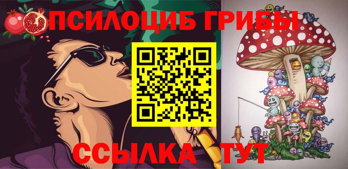 Галлюциногенные грибы Cubensis Канск