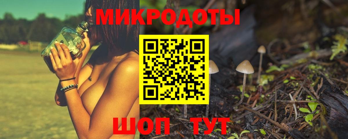 Канск  Галлюциногенные грибы Psilocybine cubensis  Вход с VPN 
