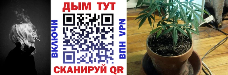 Конопля план  blacksprut зеркало  Канск 